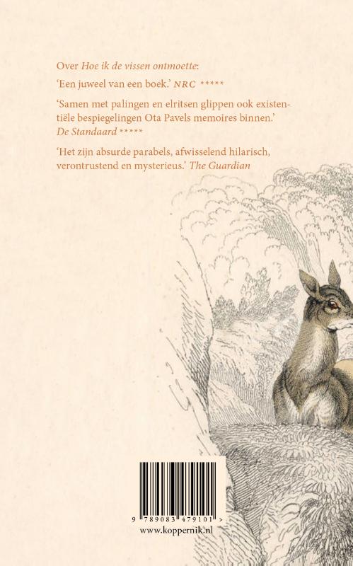 Hoe een reebok ons leven redde (Paperback)