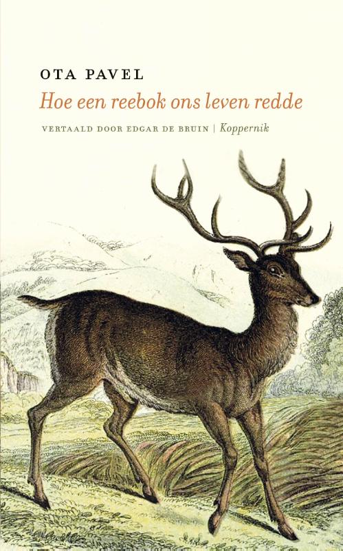 Hoe een reebok ons leven redde (Paperback)