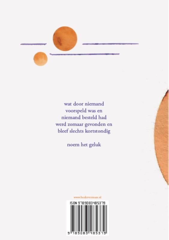 Zie ik je aan de horizon verschijnen (Paperback)