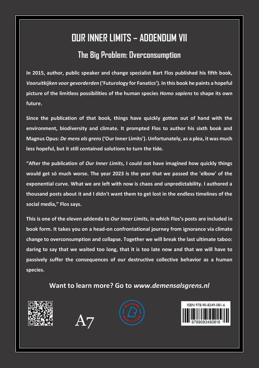 The Big Problem: Overconsumption (E-book)