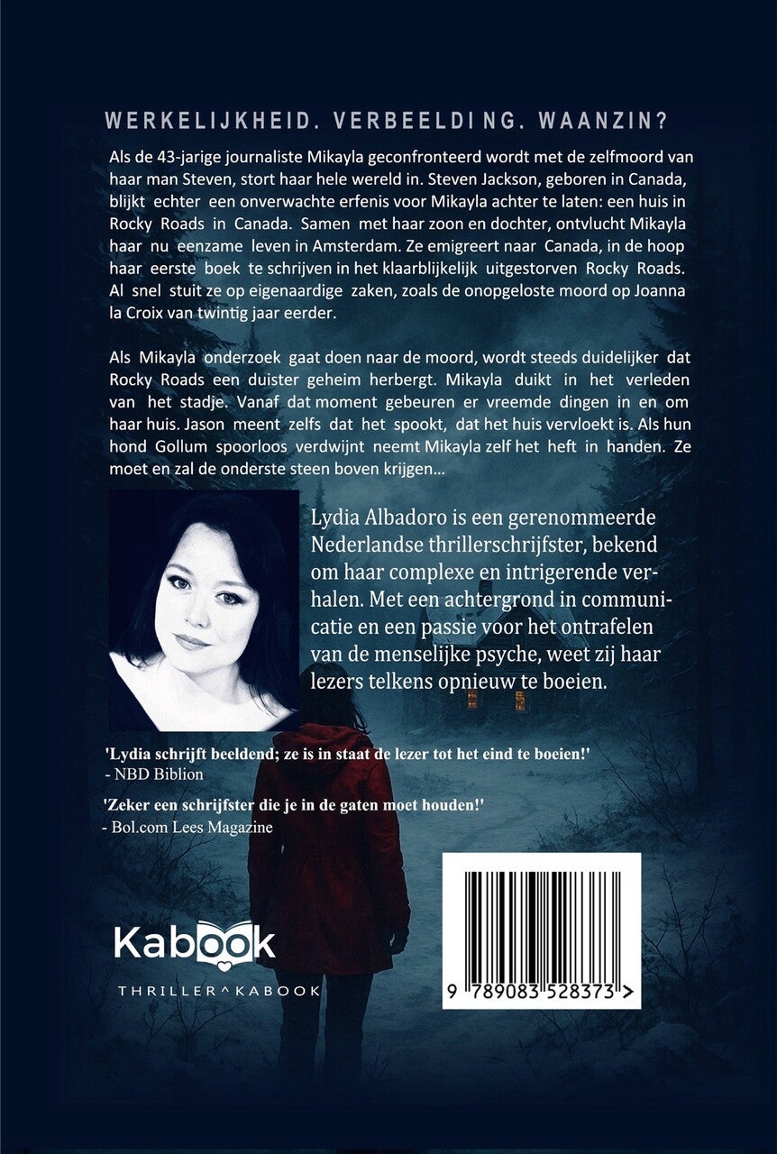 Het vervloekte huis (E-book)