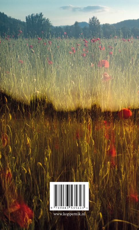 Zwarte zomer (Paperback)