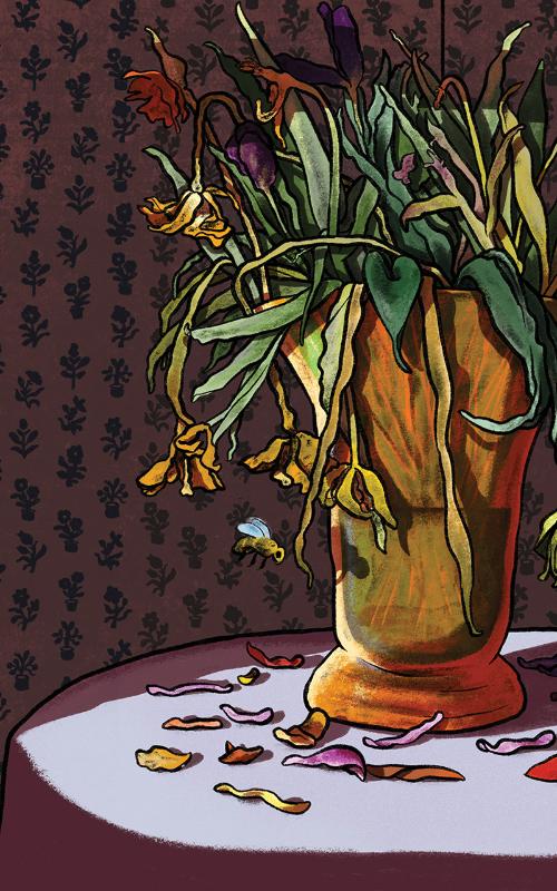 De vrede in de korf (Paperback)