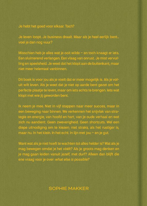 What else is possible (Hardback)