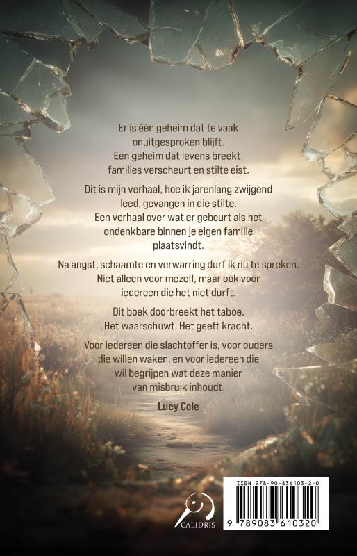 Scherven van vertrouwen (Paperback)