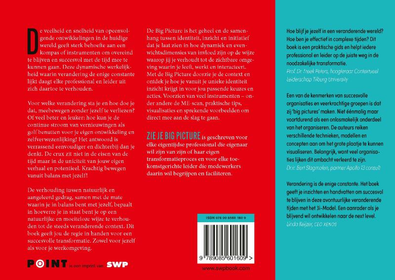 Zie je Big Picture (Paperback)