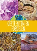 Gesteenten en fossielen (Hardback)