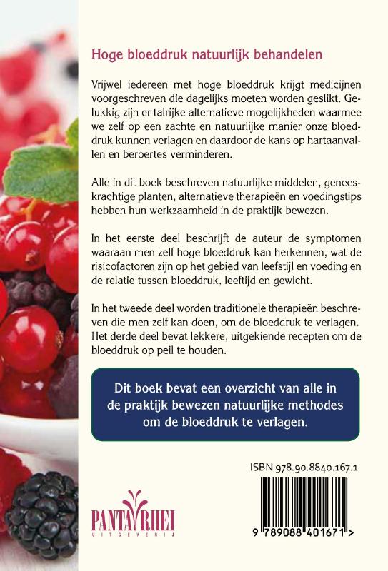 Hoge bloeddruk natuurlijk behandelen (Paperback)