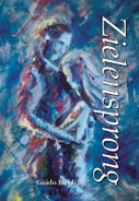 Zielensprong (Paperback)