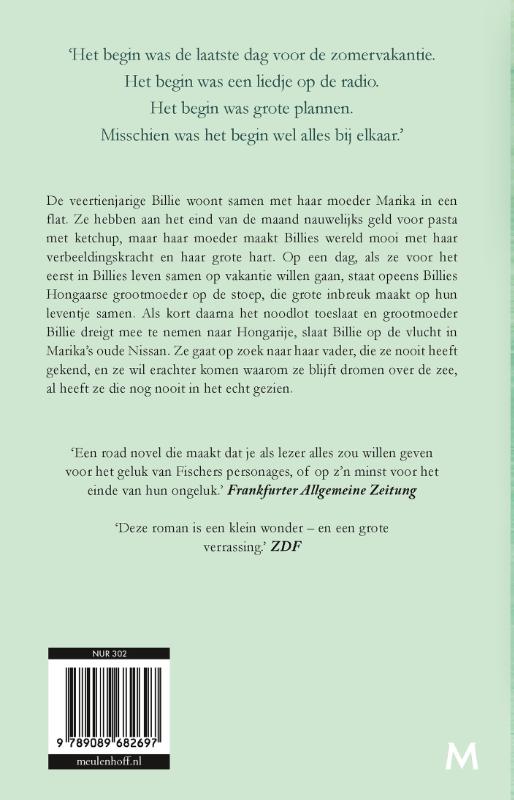 Paradise Garden (Paperback)