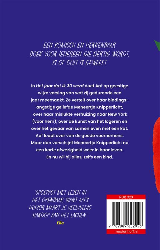 Het jaar dat ik 30 werd (Paperback)