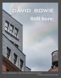 David Bowie Still here (Hardback)