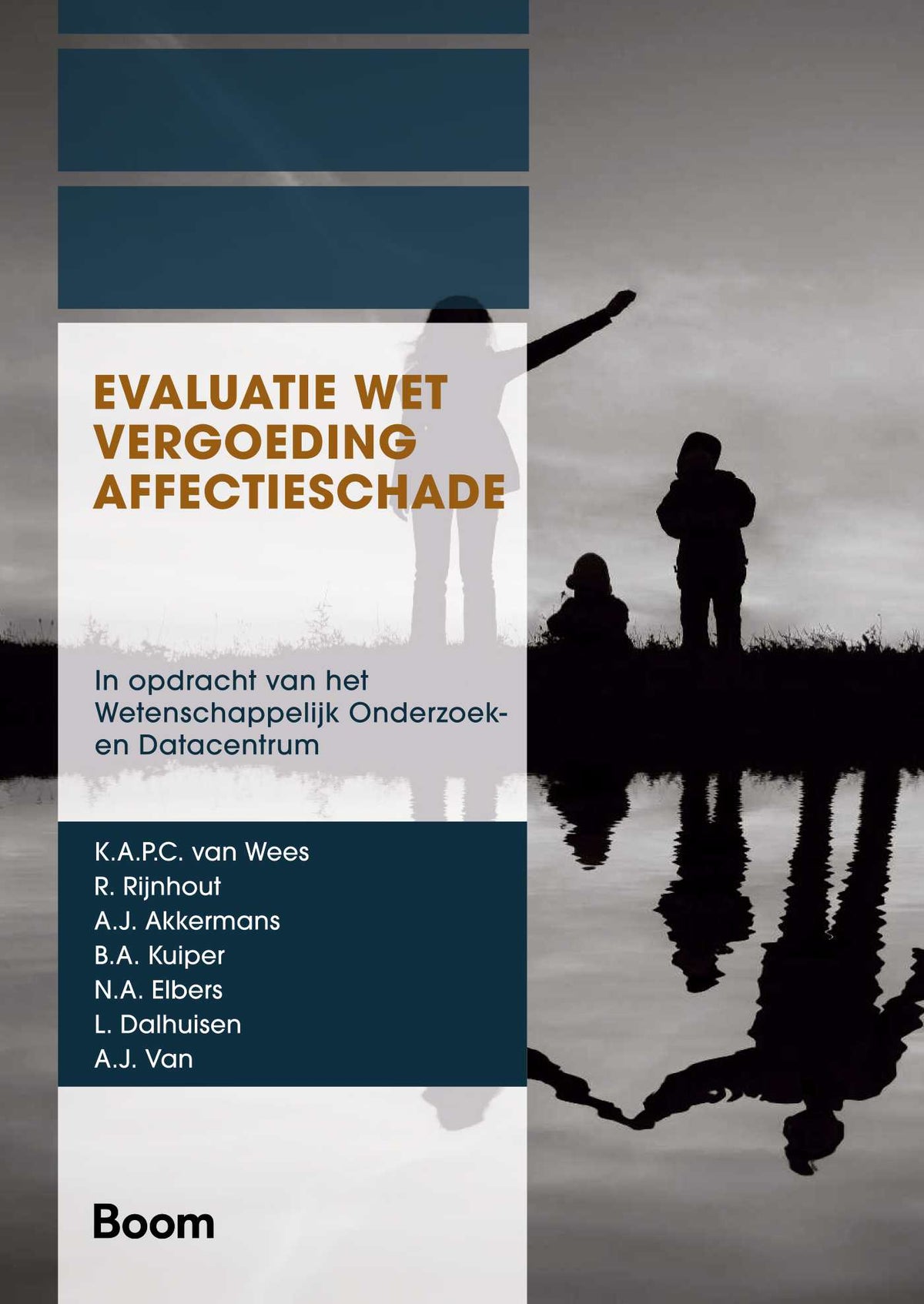 Evaluatie wet vergoeding affectieschade (E-book)