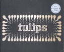 Tulips (Paperback)