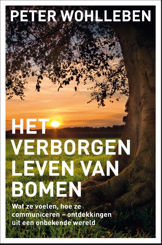 Het verborgen leven van bomen (Hardback)