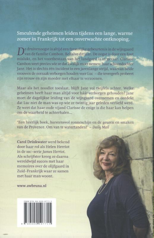 De vergeten zomer (Paperback)