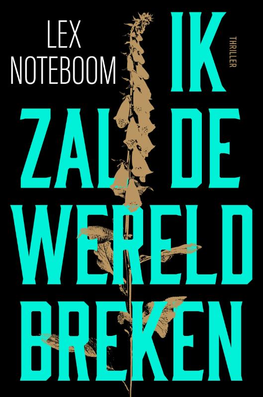 Ik zal de wereld breken (Paperback)