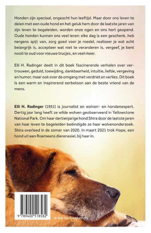 Oude wijze honden (Paperback)