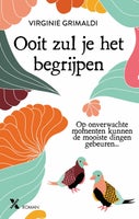 Ooit zul je het begrijpen (E-book)