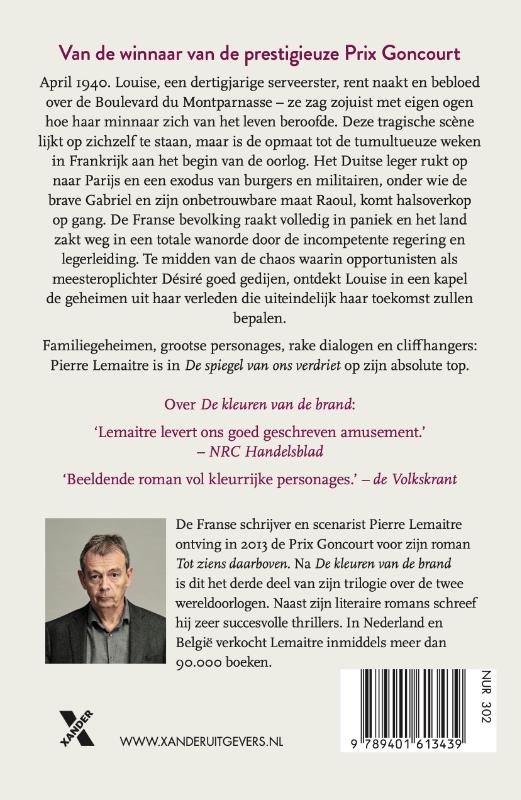 De spiegel van ons verdriet (Paperback)