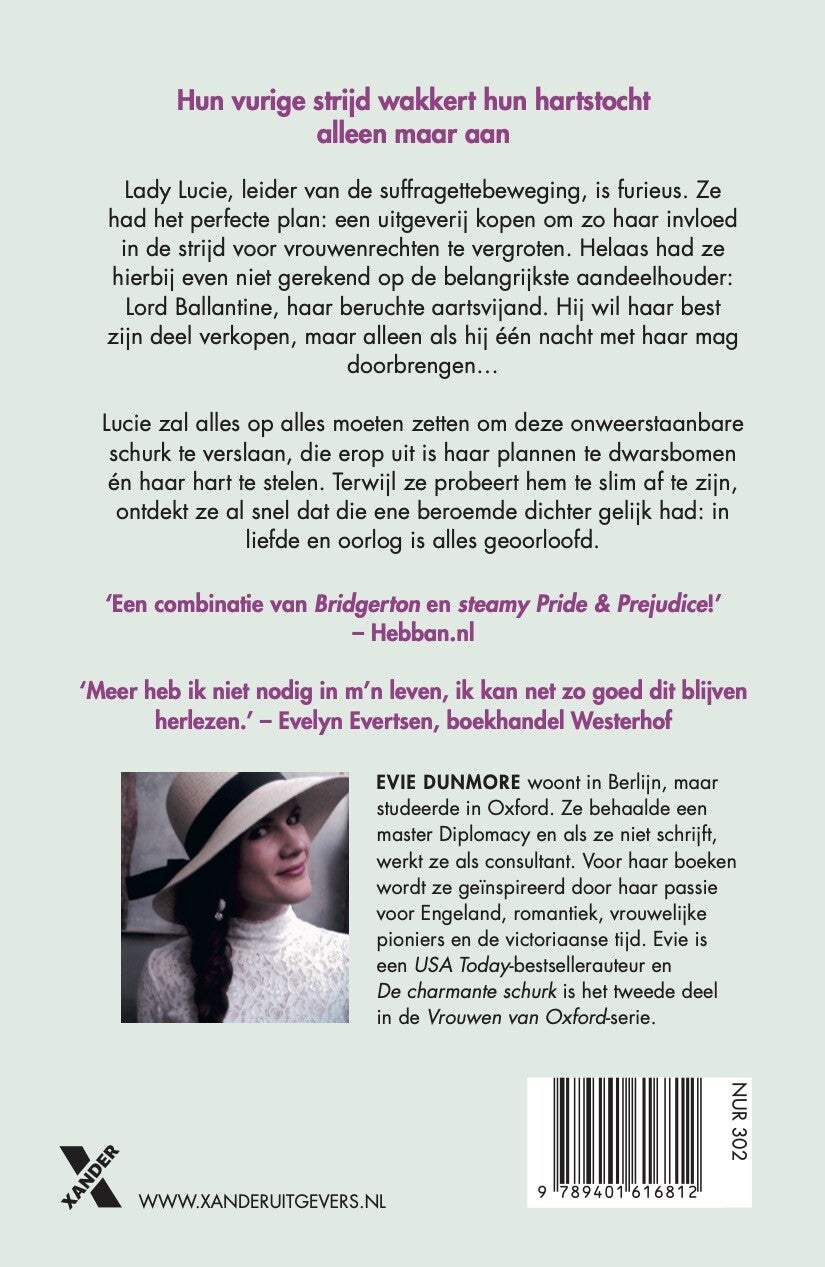 De charmante schurk (E-book)