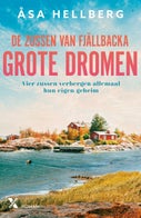 Grote dromen (E-book)