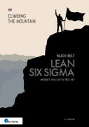 Lean Six Sigma Black Belt (Paperback)