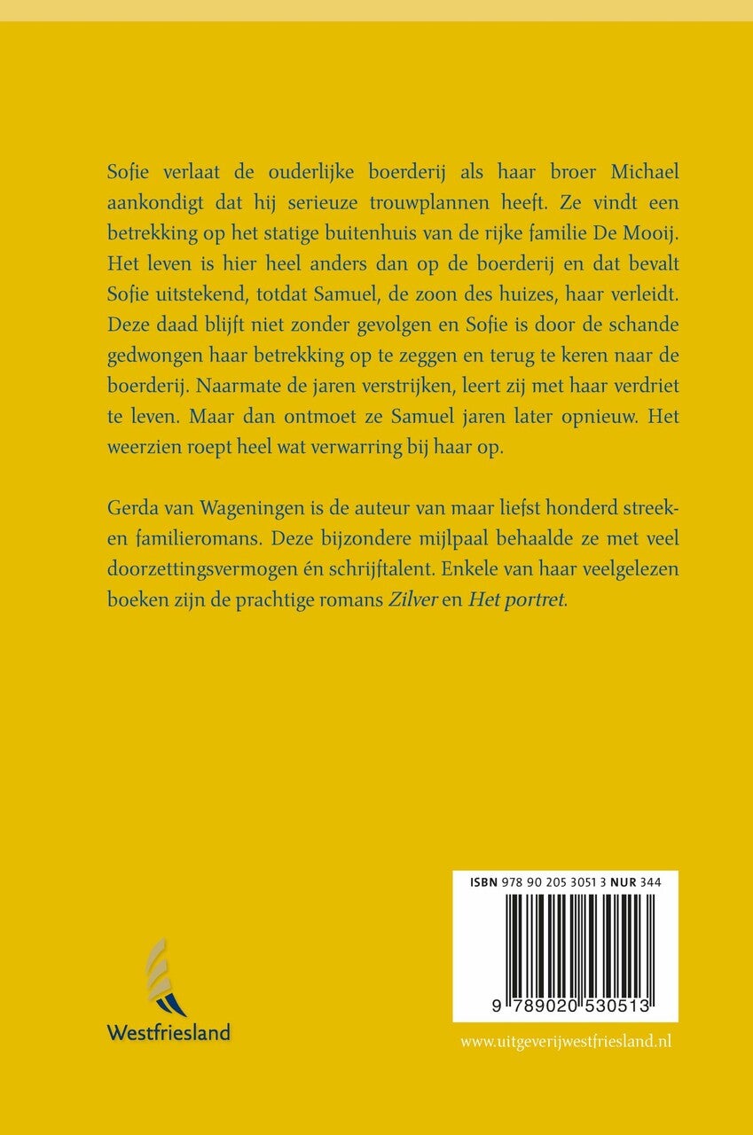 De zon blijft altijd schijnen (E-book)