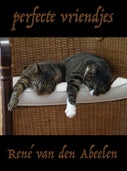 Perfecte vriendjes (E-book)