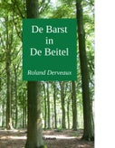 De barst in de beitel (E-book)