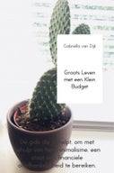 Groots Leven met een Klein Budget (E-book)