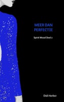 MEER DAN PERFECTIE (E-book)