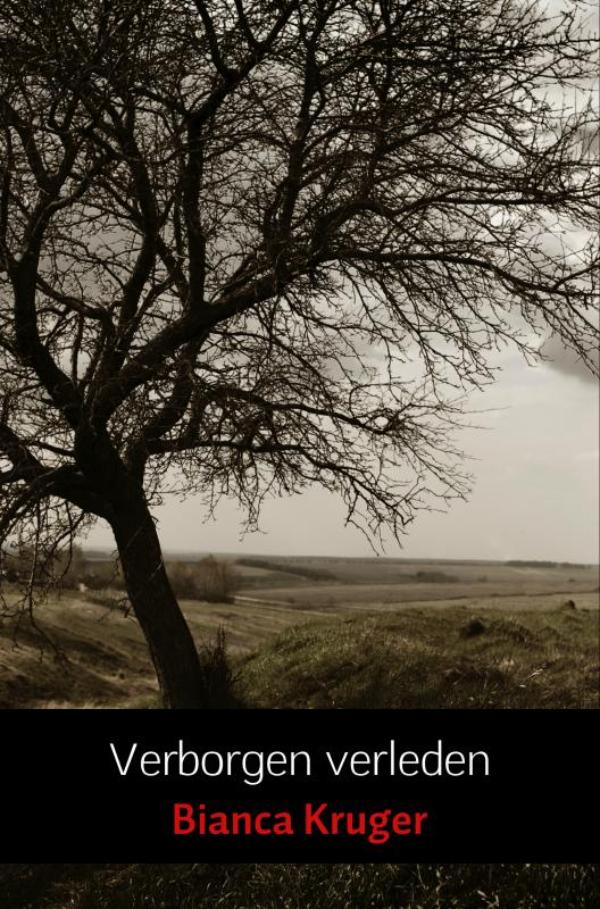 Verborgen verleden (E-book)