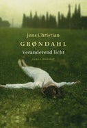 Veranderend licht (E-book)