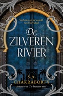 De zilveren rivier (E-book)