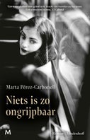 Niets is zo ongrijpbaar (E-book)