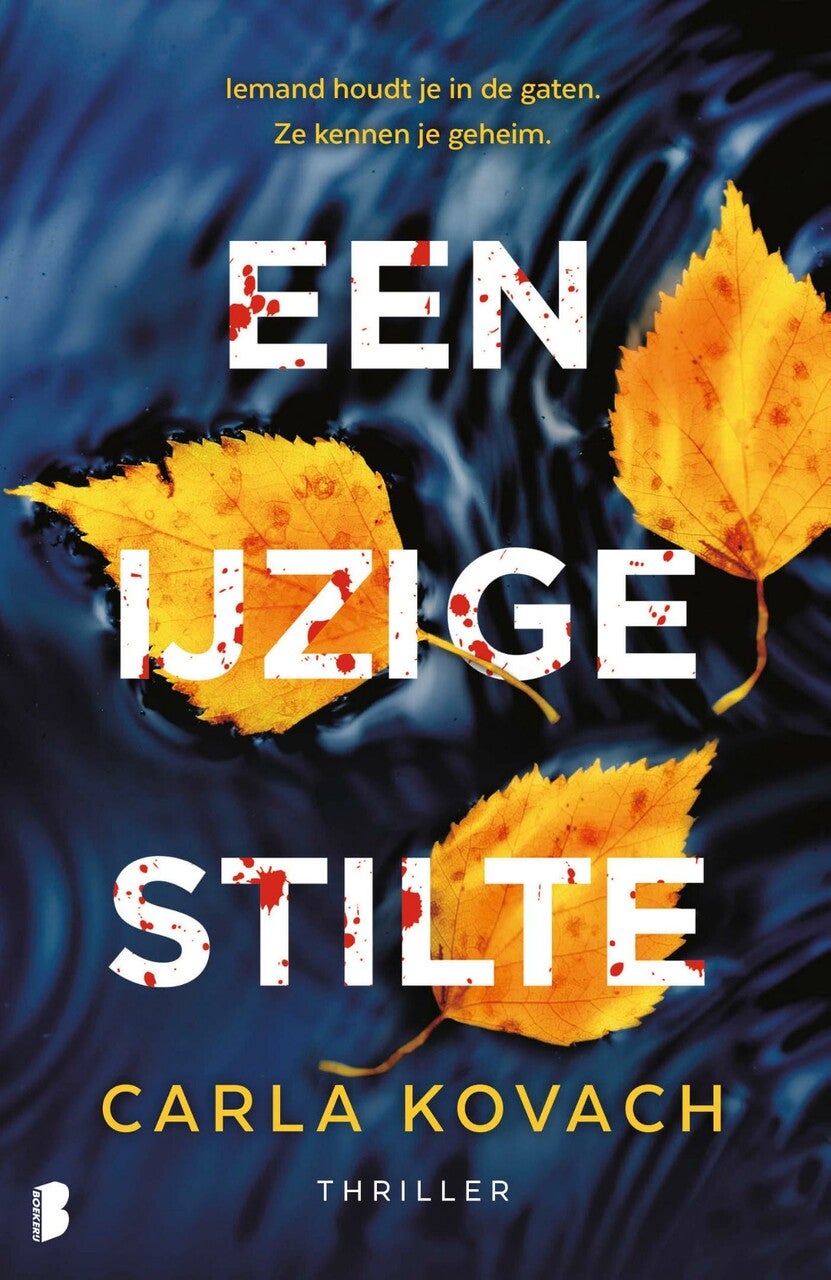 Een ijzige stilte (E-book)