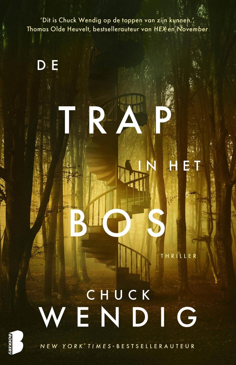 De trap in het bos (E-book)