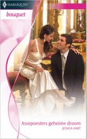 Assepoesters geheime droom (E-book)