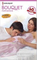Stormachtige ontmoeting (E-book)