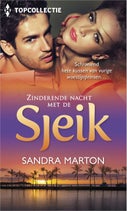 Zinderende nacht met de sjeik (E-book)