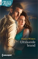 Uitslaande brand (E-book)