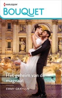 Het geheim van de magnaat (E-book)
