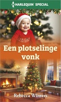 Een plotselinge vonk (E-book)