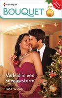 Verleid in een sneeuwstorm (E-book)