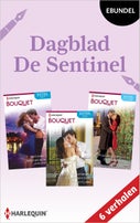 Dagblad De Sentinel (E-book)