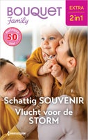 Schattig souvenir / Vlucht voor de storm (E-book)