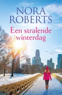 Een stralende winterdag (E-book)