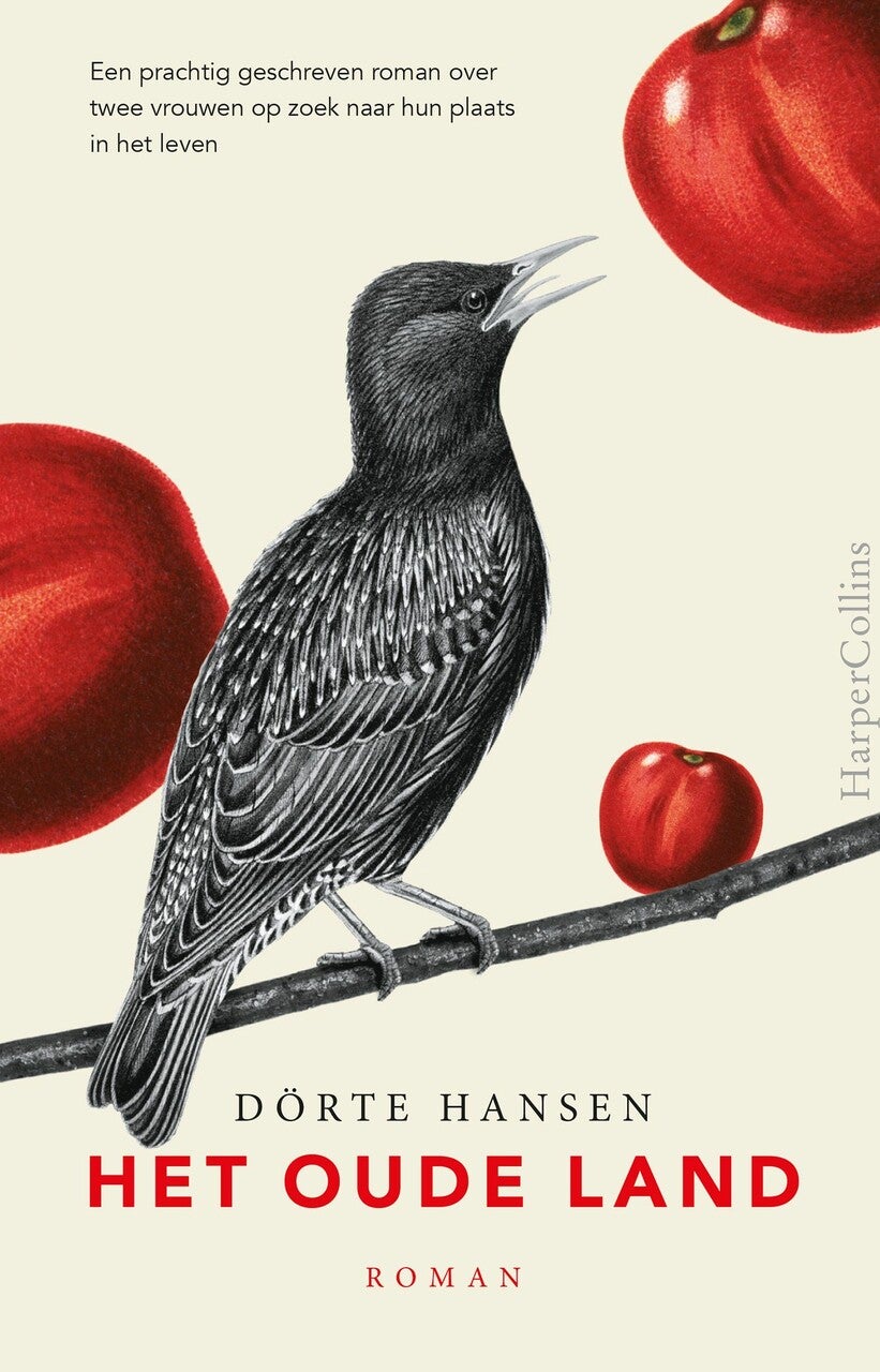 Het oude land (E-book)
