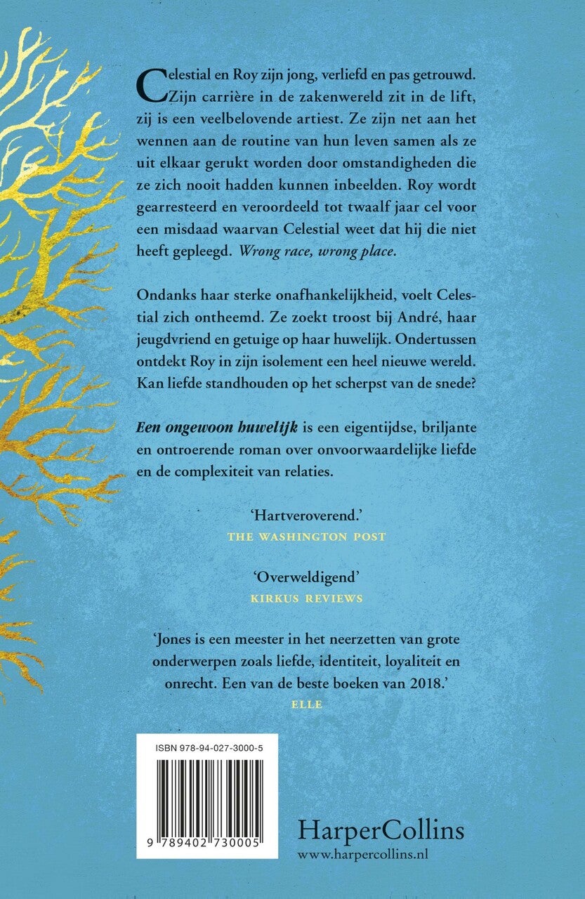 Een ongewoon huwelijk (E-book)